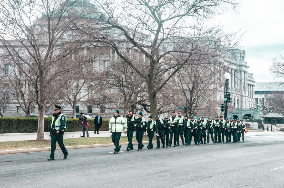 people standing on gray concrete road near bare trees during daytime