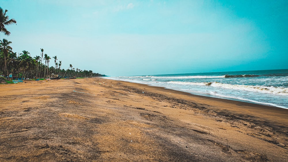 a sandy beach next to the ocean with palm trees