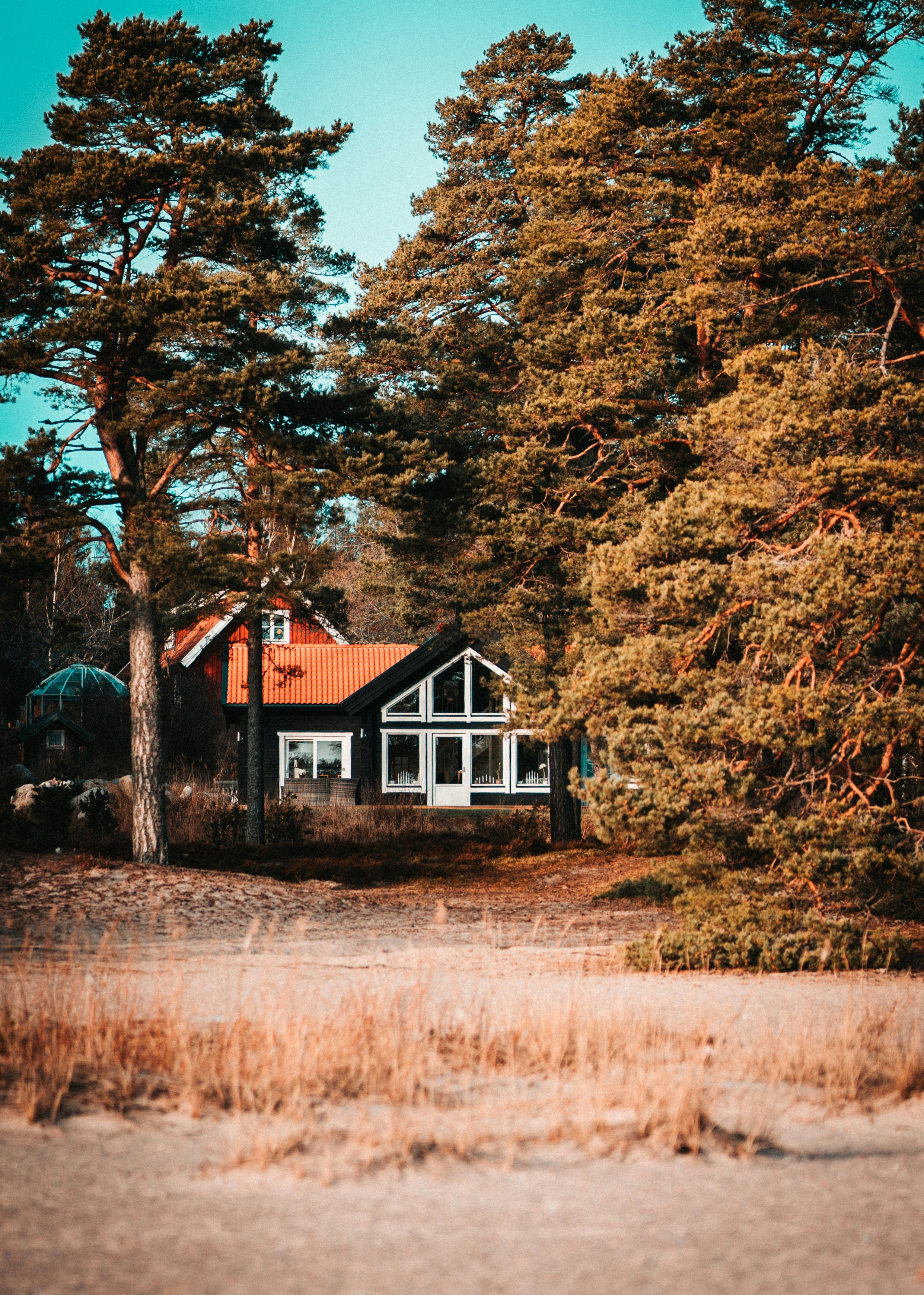 Photo by emilwidlund