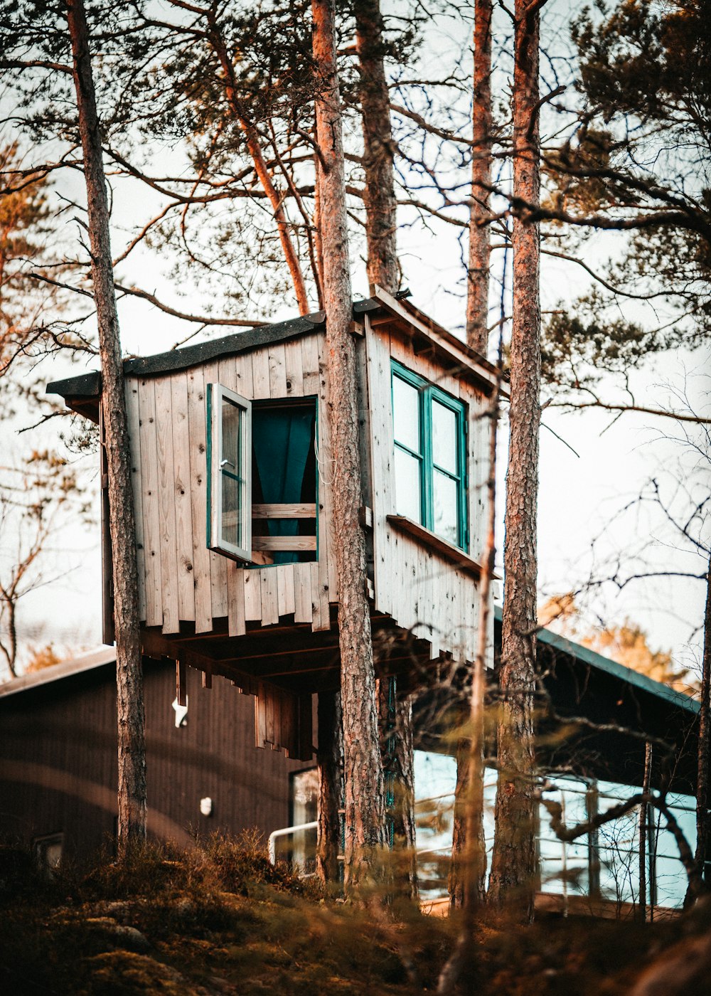 Une cabane dans les arbres au milieu des bois