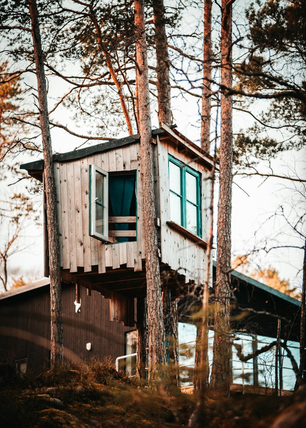 a tree house in the middle of the woods