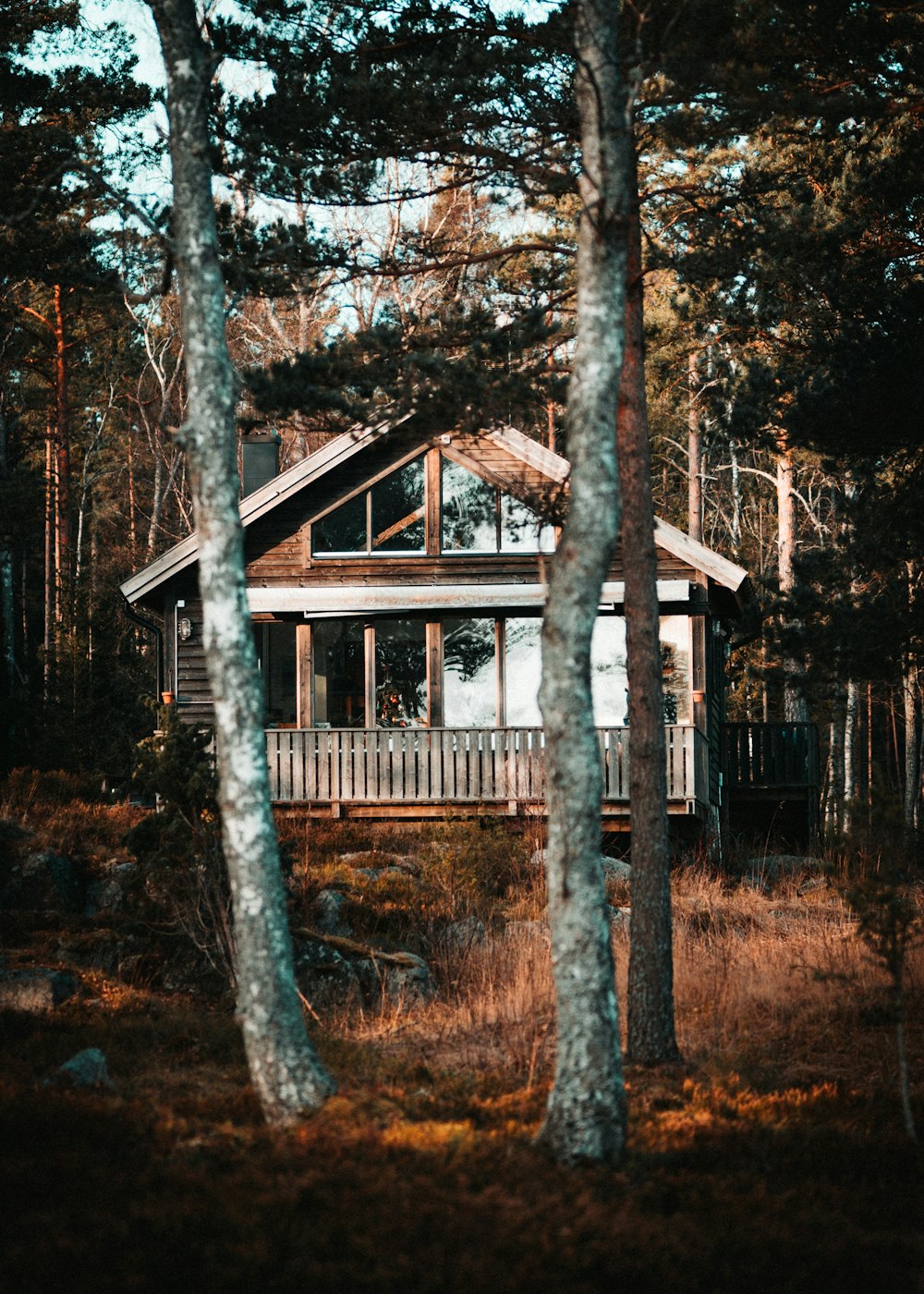a house in the woods surrounded by trees