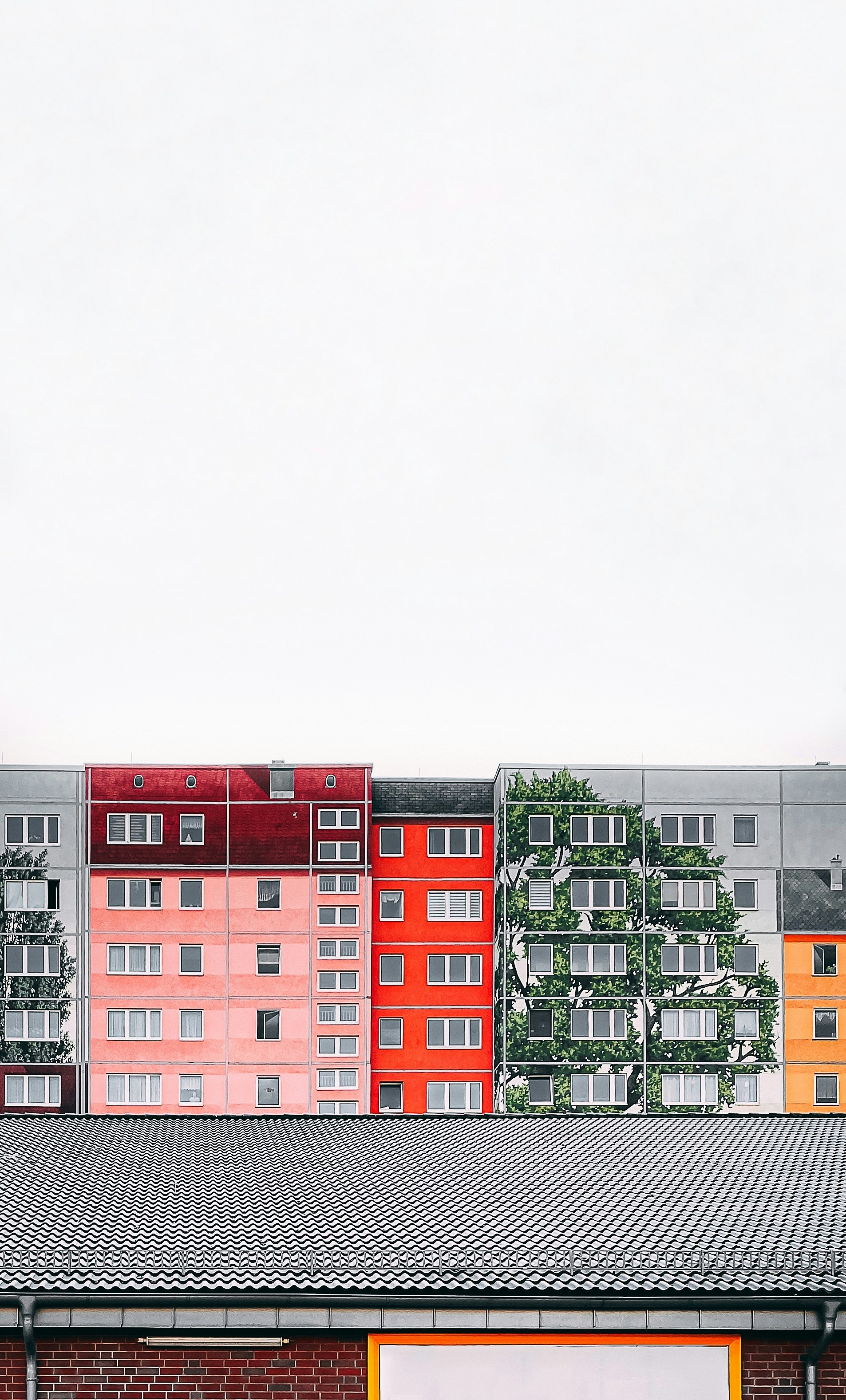 Photo by karstenkimble