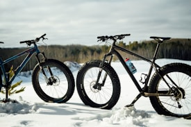 Two mountain bikes with fat tires are parked on a snowy landscape. A blue bike and a black bike are positioned side by side, with a forest of bare trees visible in the background. A blue water bottle is attached to the black bike. The sky is overcast, contributing to a serene winter atmosphere.
