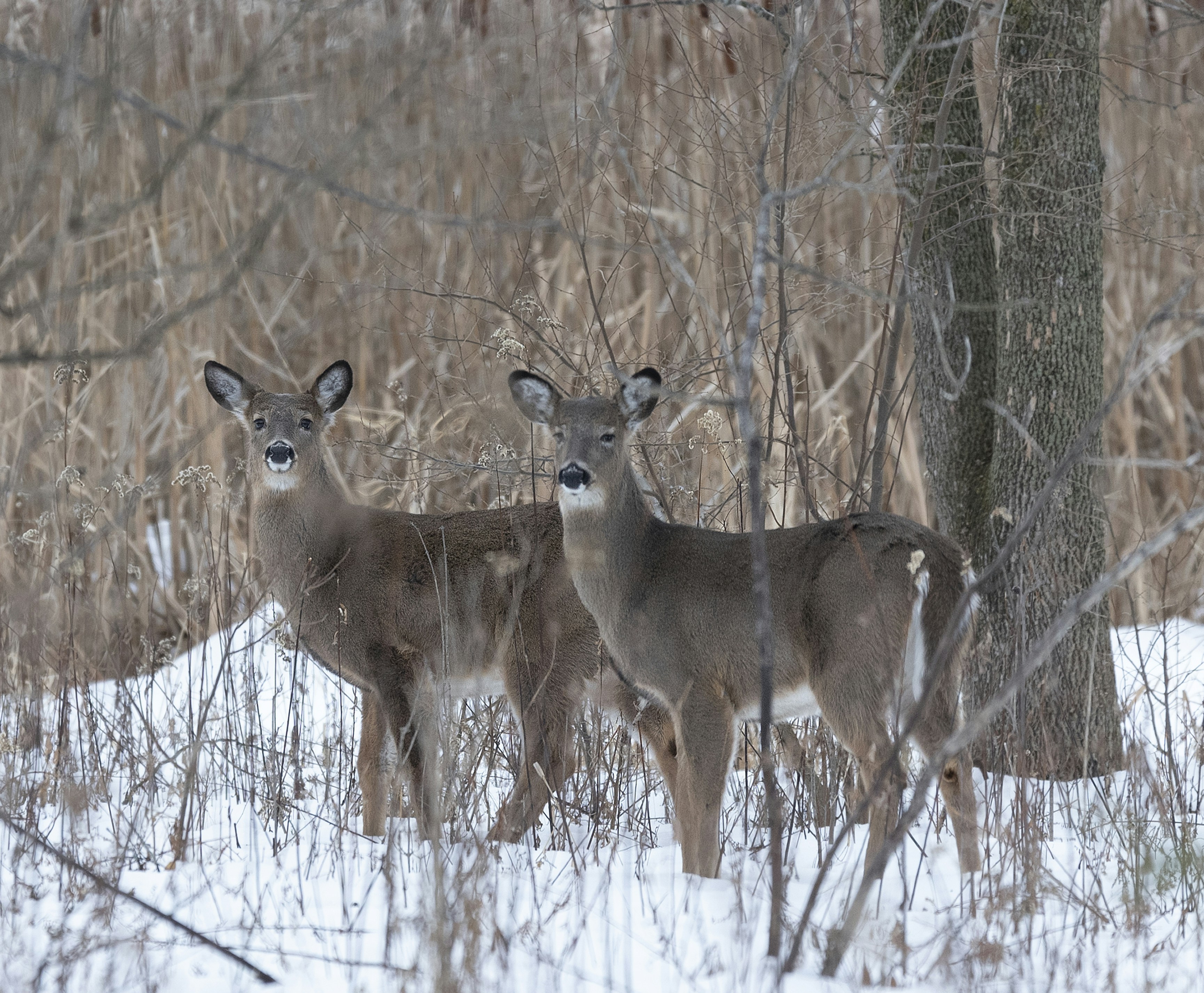 Photo by jessika2534