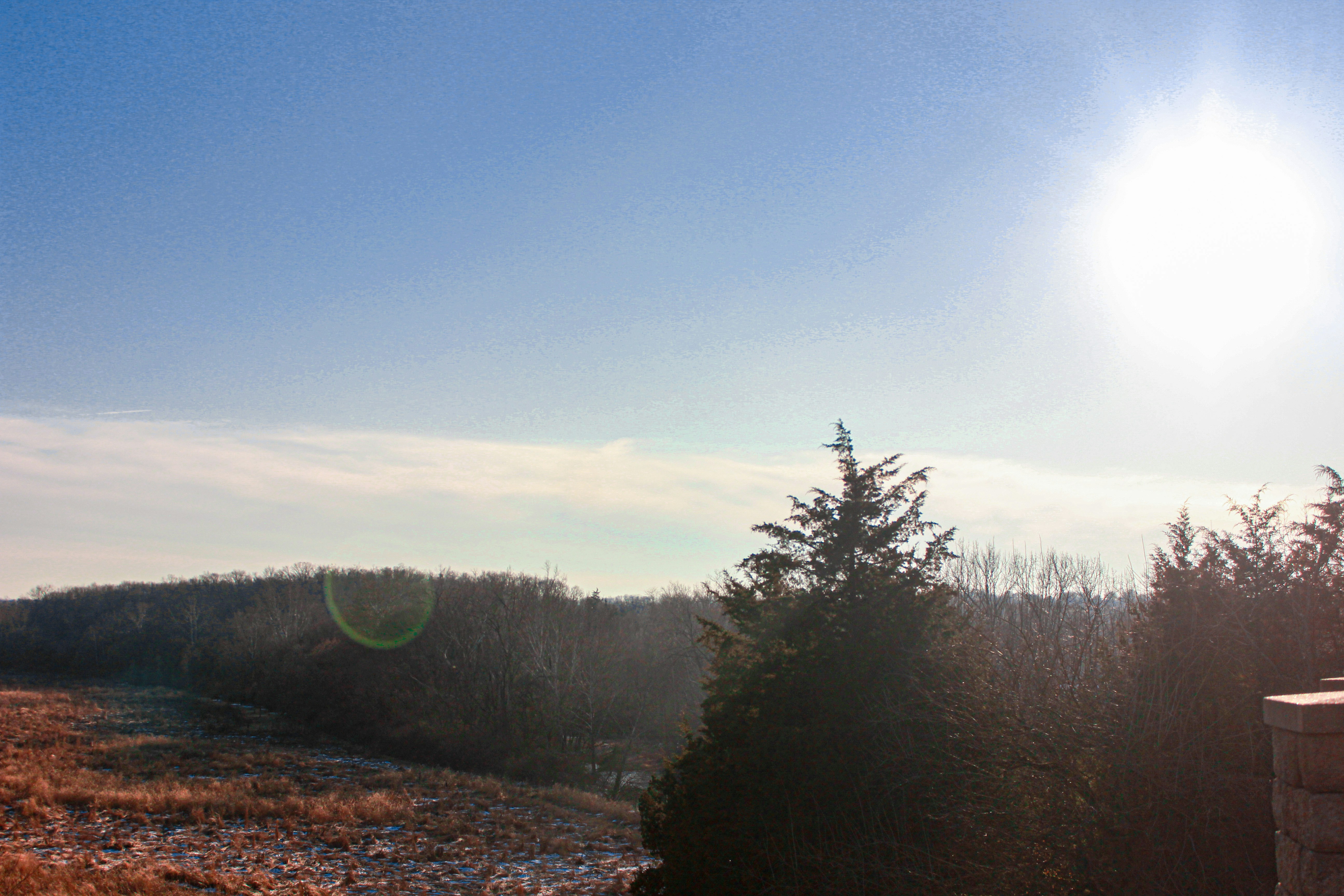 Photo by lovingdreamer