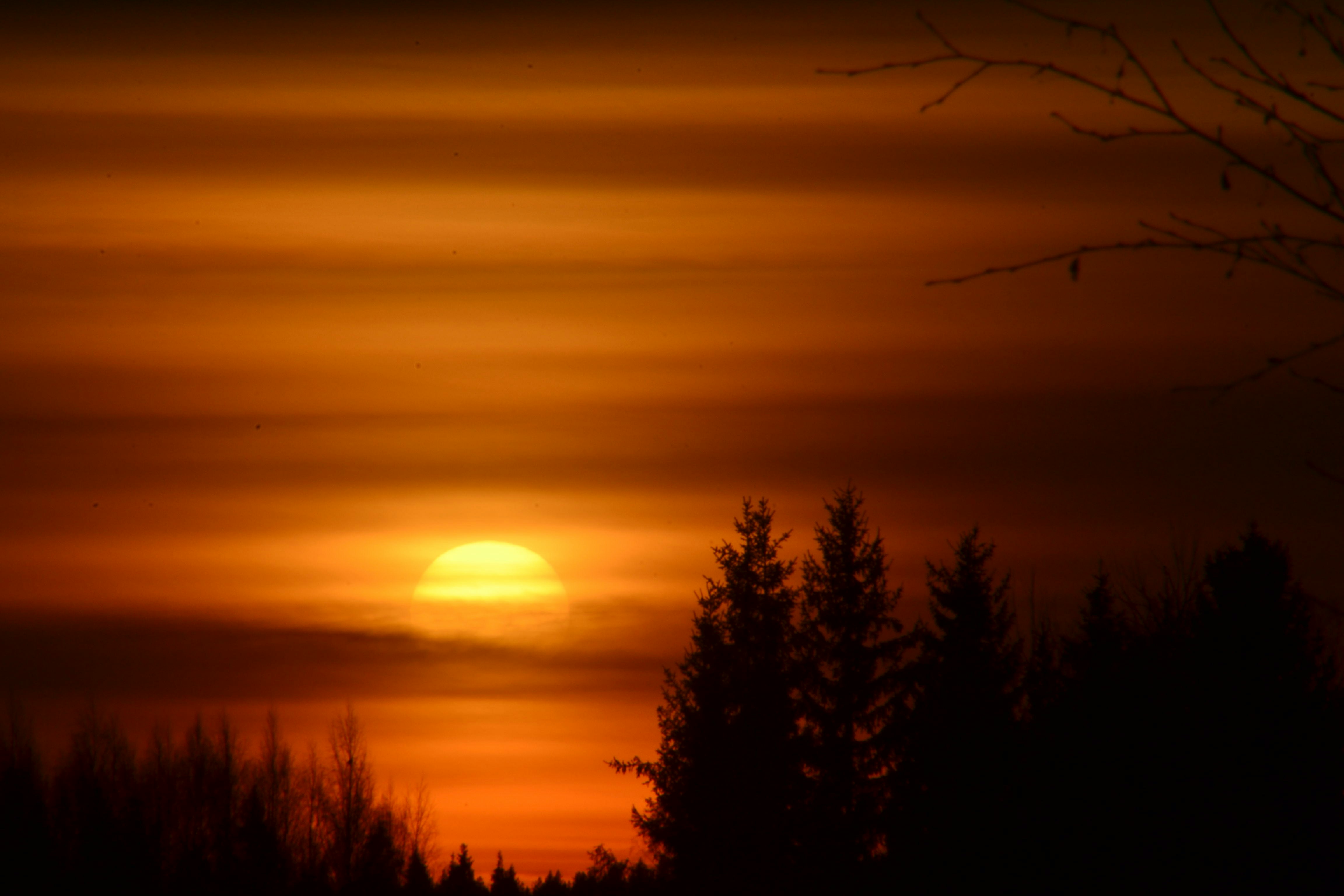 Photo by annikakutsar