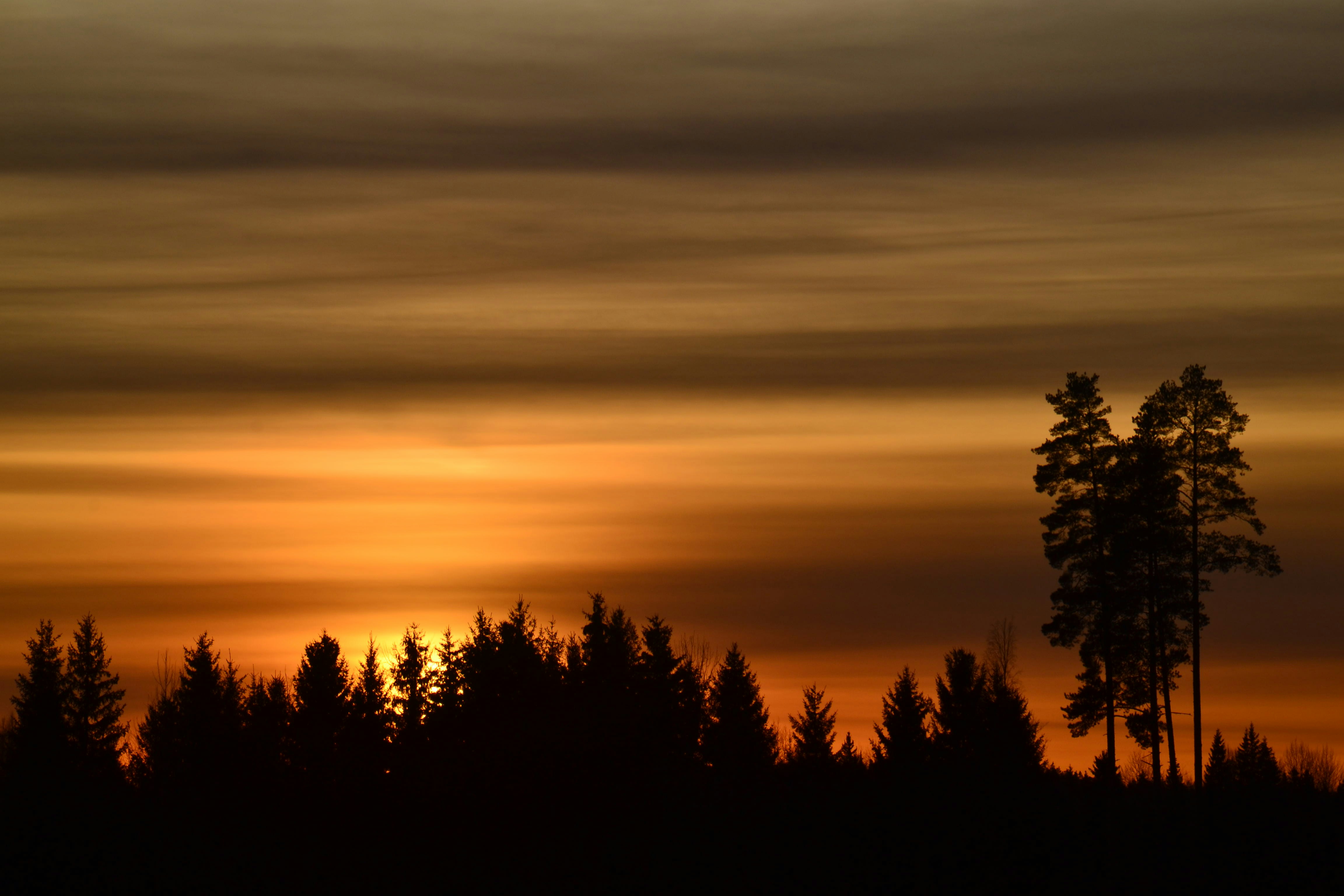 Photo by annikakutsar