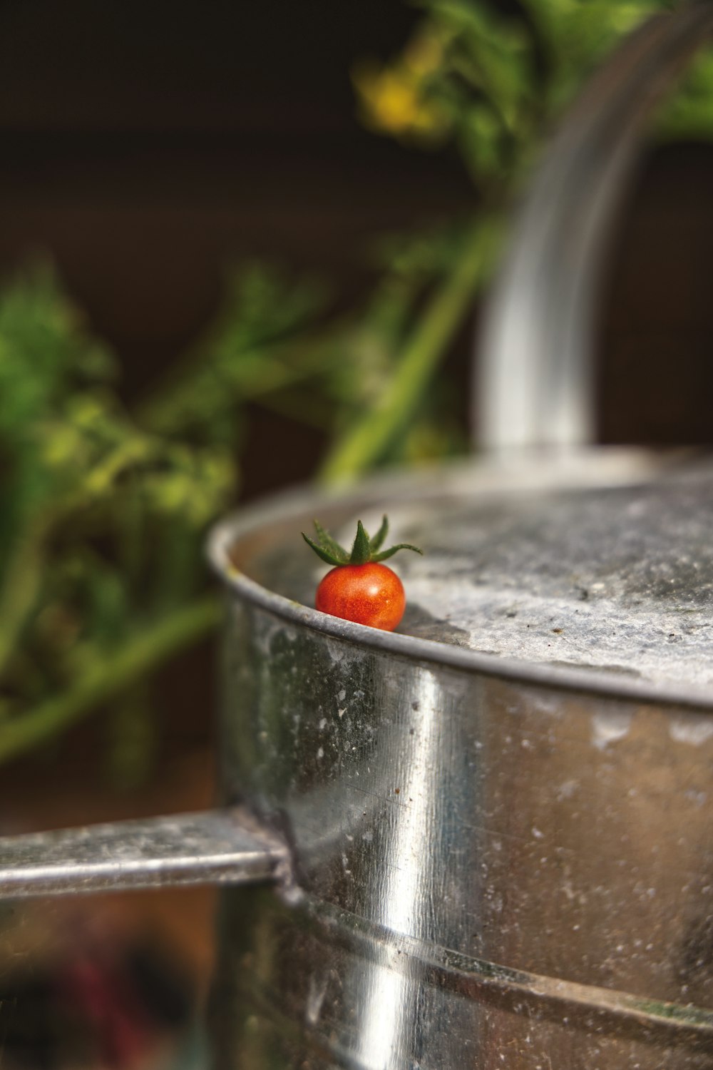 eine Tomate, die auf einem Metalltopf sitzt
