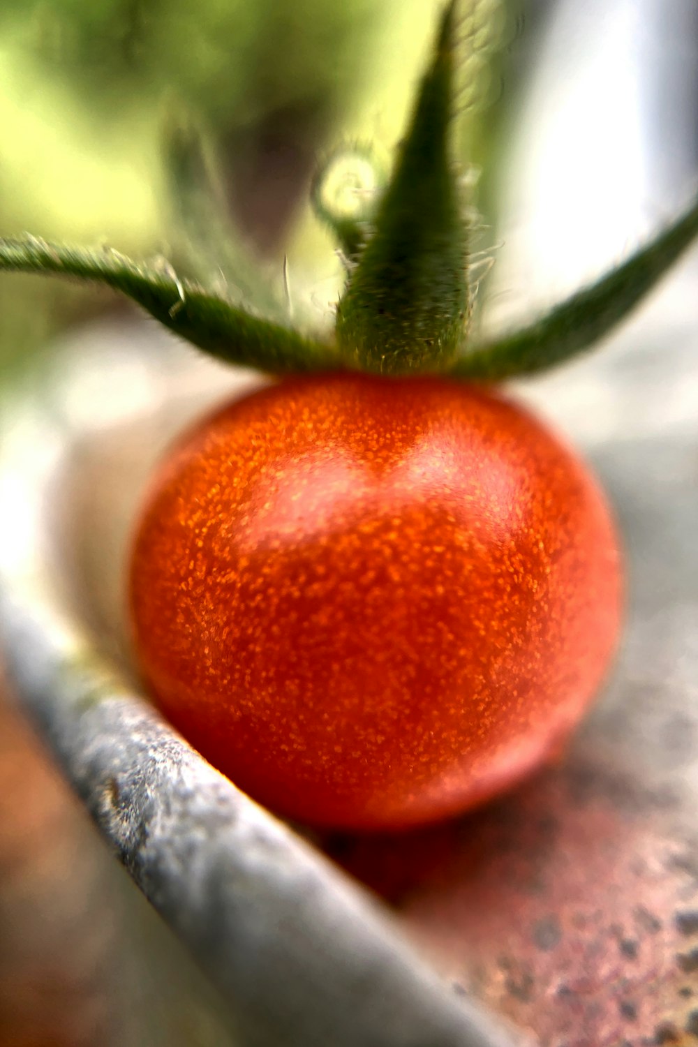 Eine Nahaufnahme einer Tomate auf einem Tisch