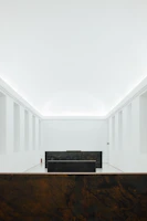 Minimalist black and white living room with custom furniture and architectural lighting.