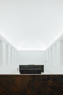 A minimalist interior space with stark white walls and ceiling. The room features a central dark-colored rectangular structure and another similar structure in the foreground. Subtle architectural details and lighting create a serene and spacious atmosphere.