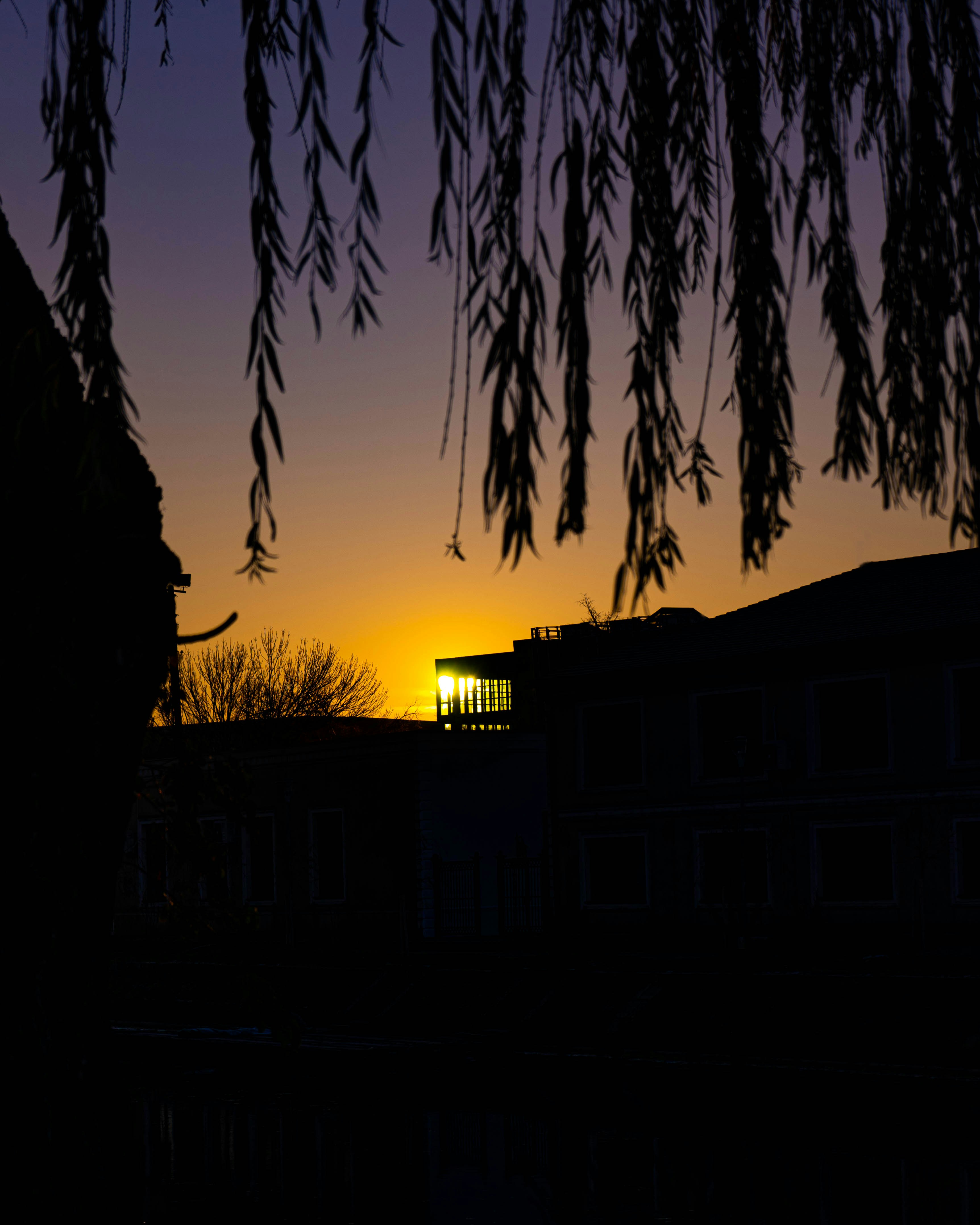 Photo by rosurazvi1995