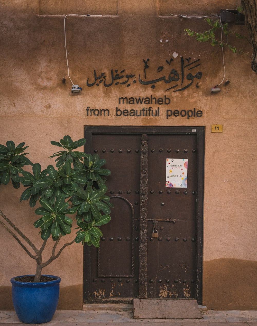 a potted plant sitting in front of a door