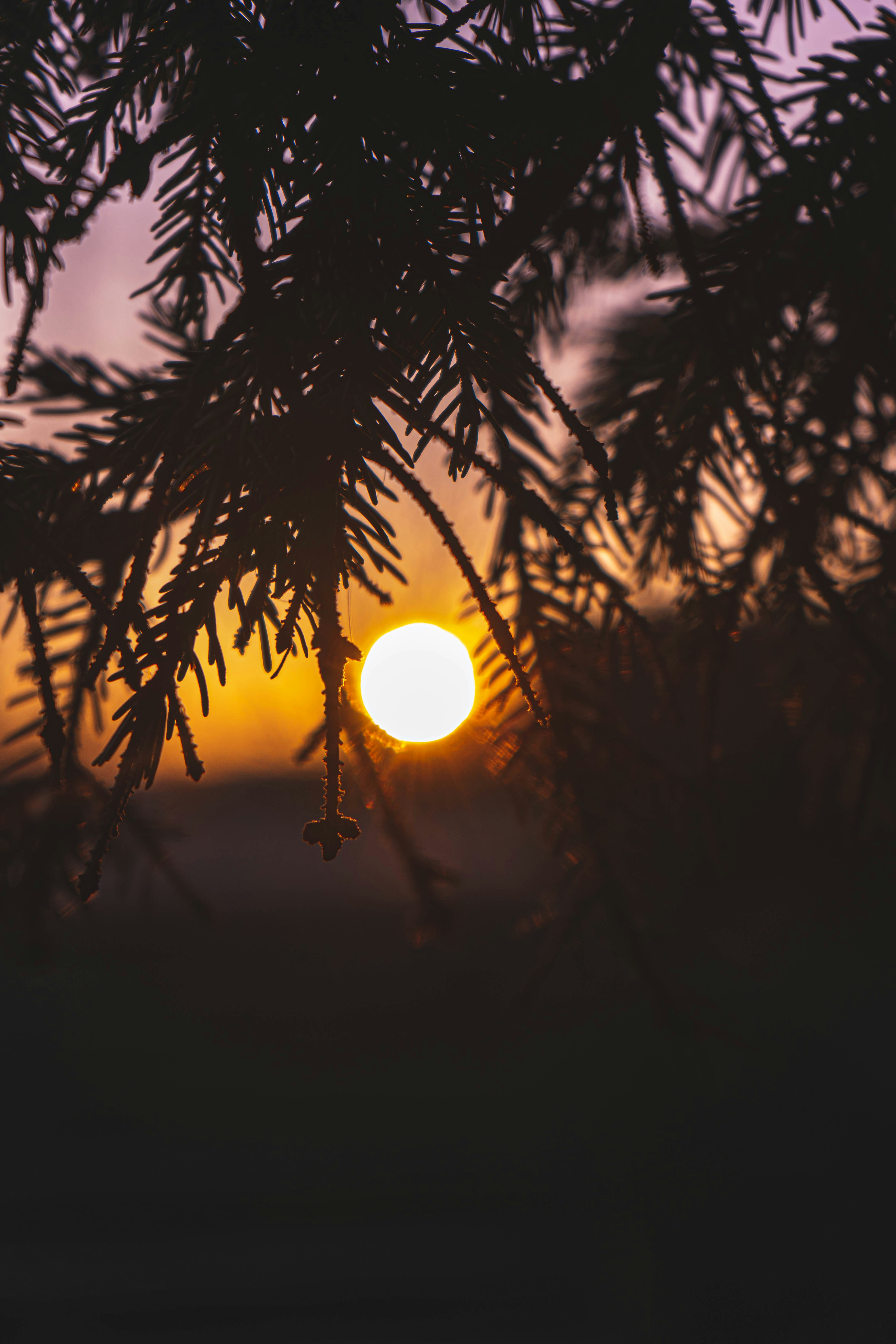 Photo by rosurazvi1995