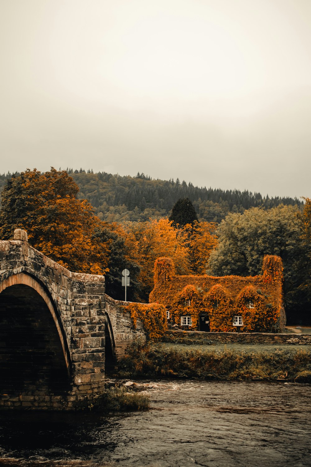 a stone bridge over a river in front of a forest