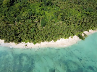 an aerial view of a tropical island with a sandy beach