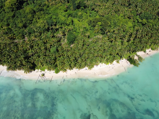an aerial view of a tropical island with a sandy beach