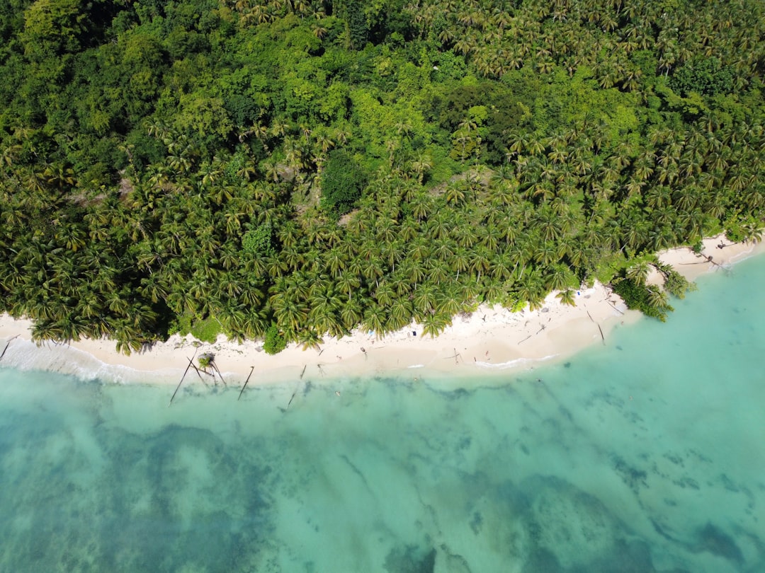 an aerial view of a tropical island with a sandy beach,