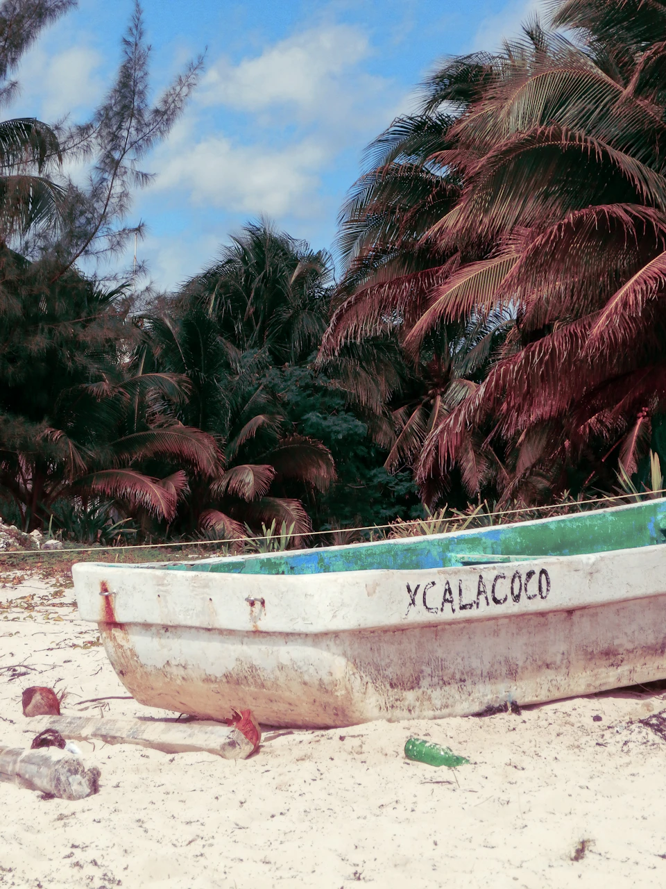 The image depicts a white boat with green trim, partially submerged in the sand on a beach. The boat is adorned with the name "Xcalacocco" written on it in black letters. In the background, there are palm trees and other vegetation, creating a tropical atmosphere.