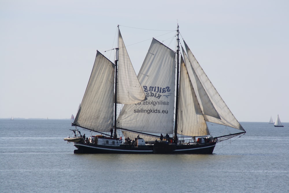 brown and white sail boat on sea during daytime