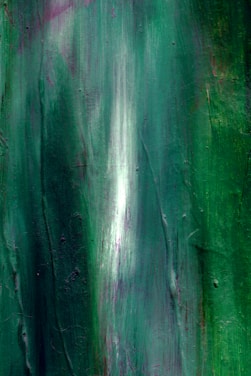 An abstract artwork featuring vertical streaks of green with hints of purple and white. The texture appears to be layered with a slightly glossy finish, suggesting the use of brushstrokes or a palette knife.
