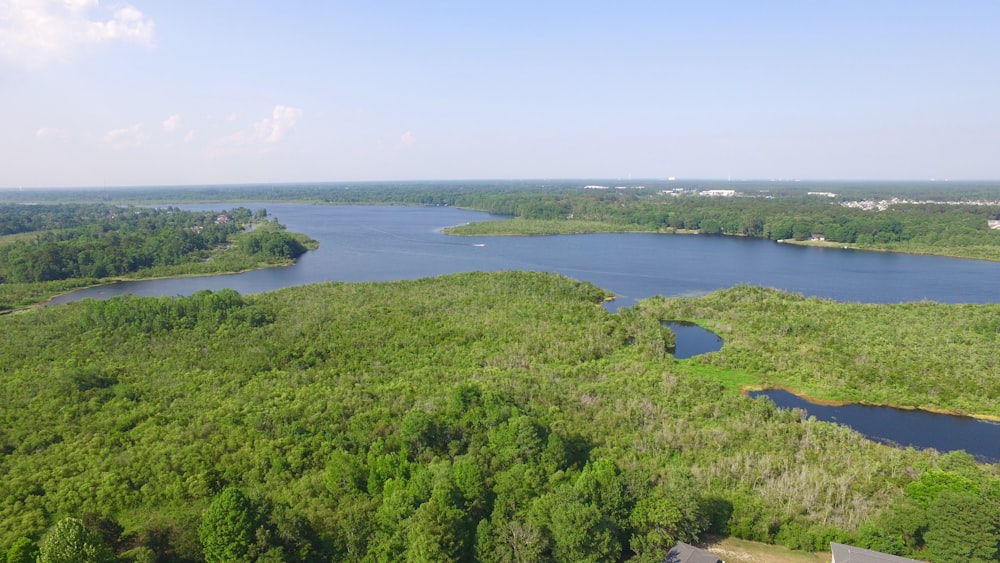 a large body of water surrounded by lush green trees