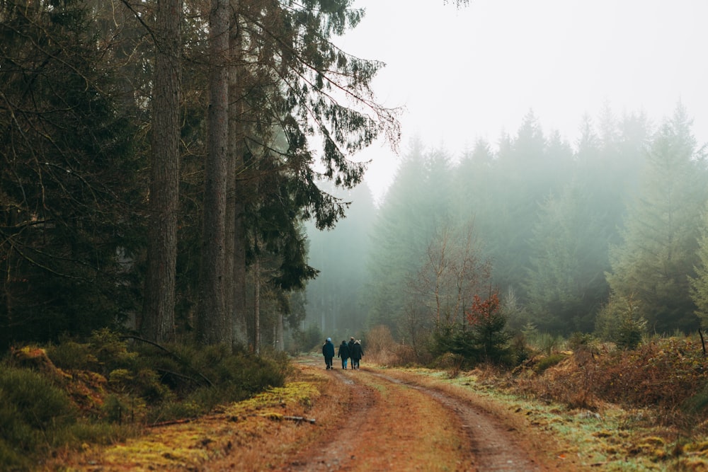 a couple of people walking down a dirt road