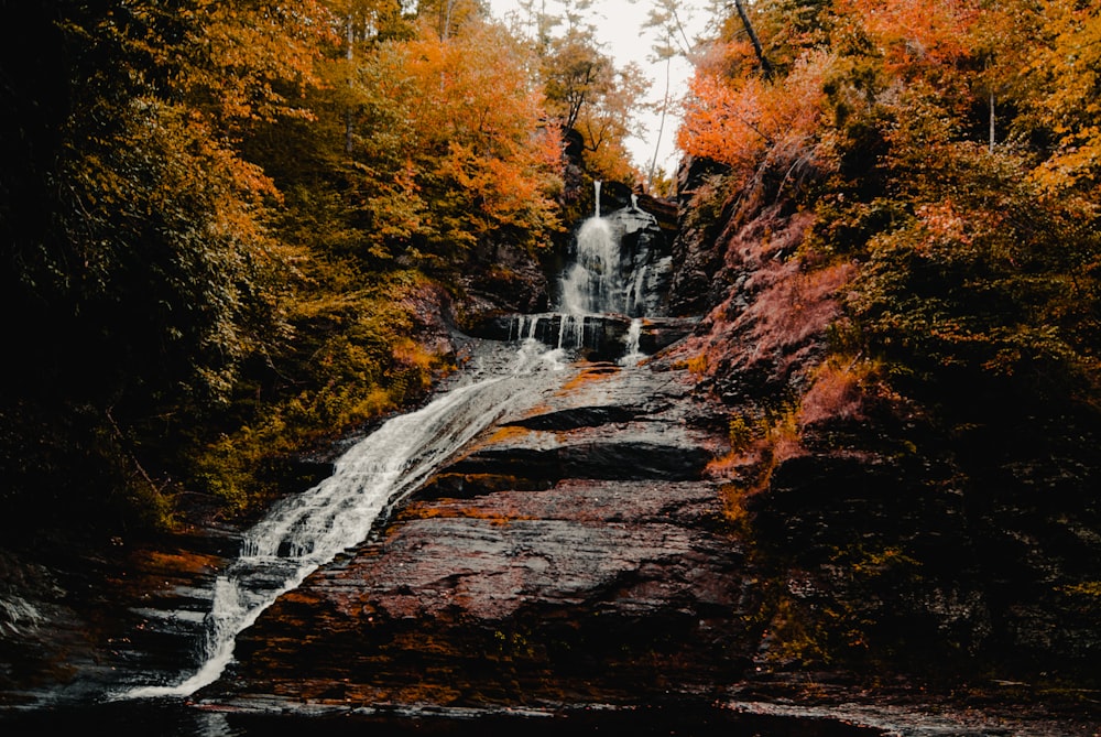 a waterfall in the middle of a forest