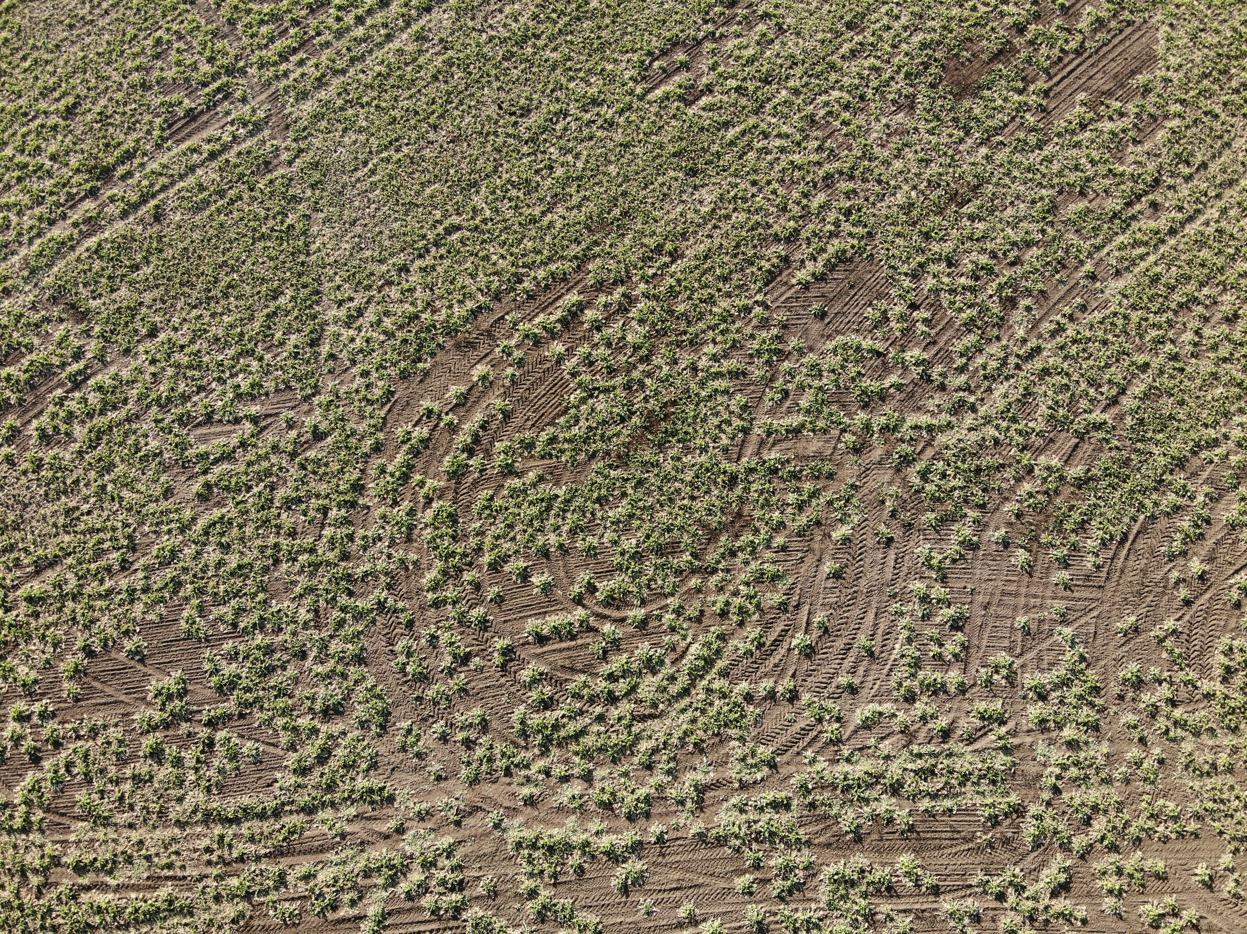 Photo by vasiliygalushko