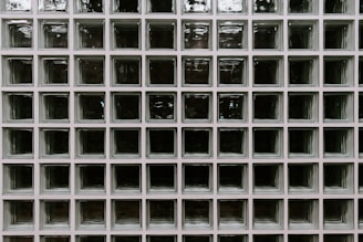 A grid of square glass blocks, each framed by white borders. The glass blocks are translucent with a textured surface, creating a pattern of reflections and refractions. The overall appearance is uniform and geometric, with a modern architectural style.