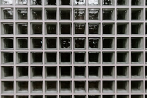 A grid of square glass blocks, each framed by white borders. The glass blocks are translucent with a textured surface, creating a pattern of reflections and refractions. The overall appearance is uniform and geometric, with a modern architectural style.