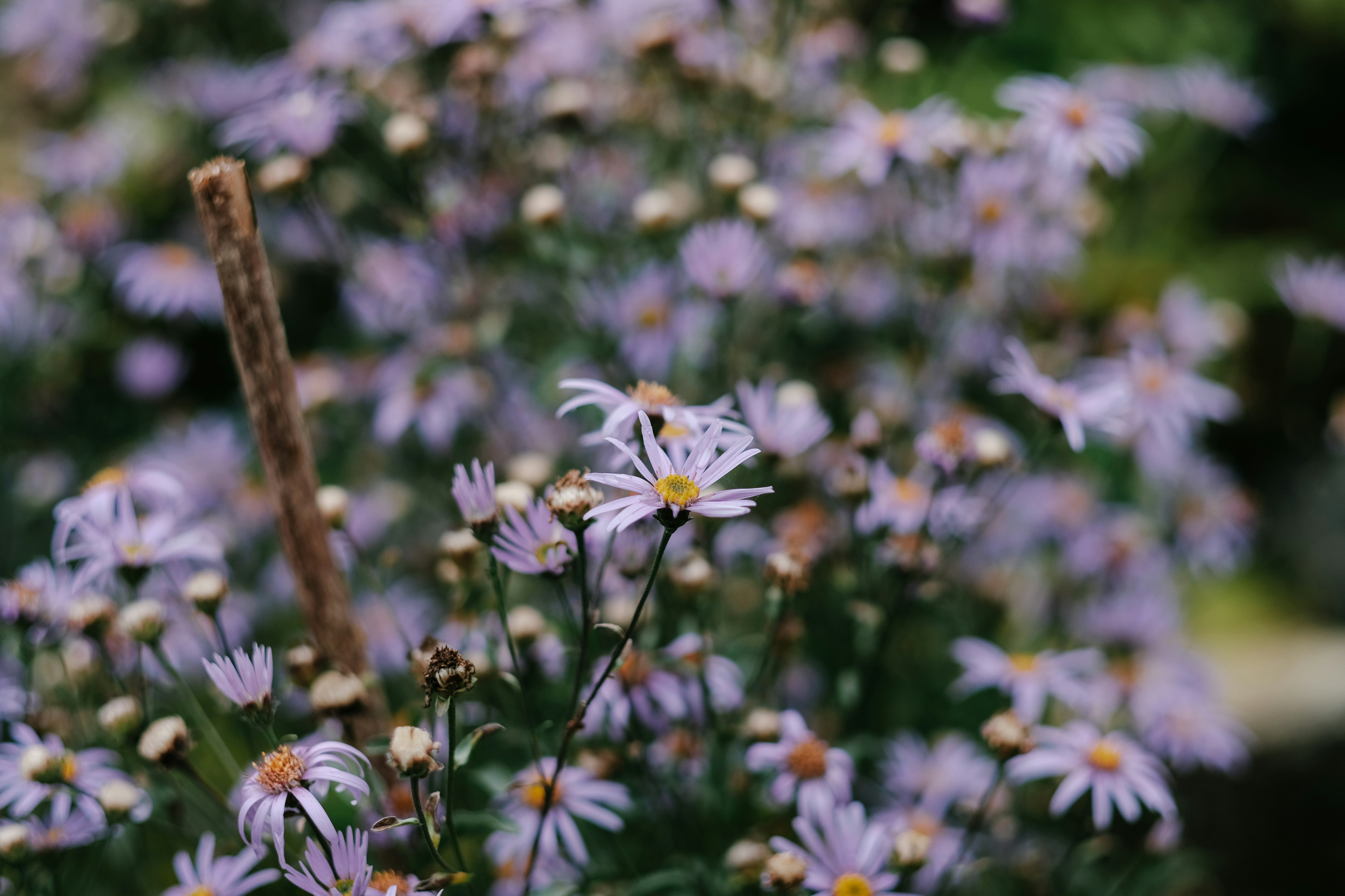 Photo by alex_akimenko