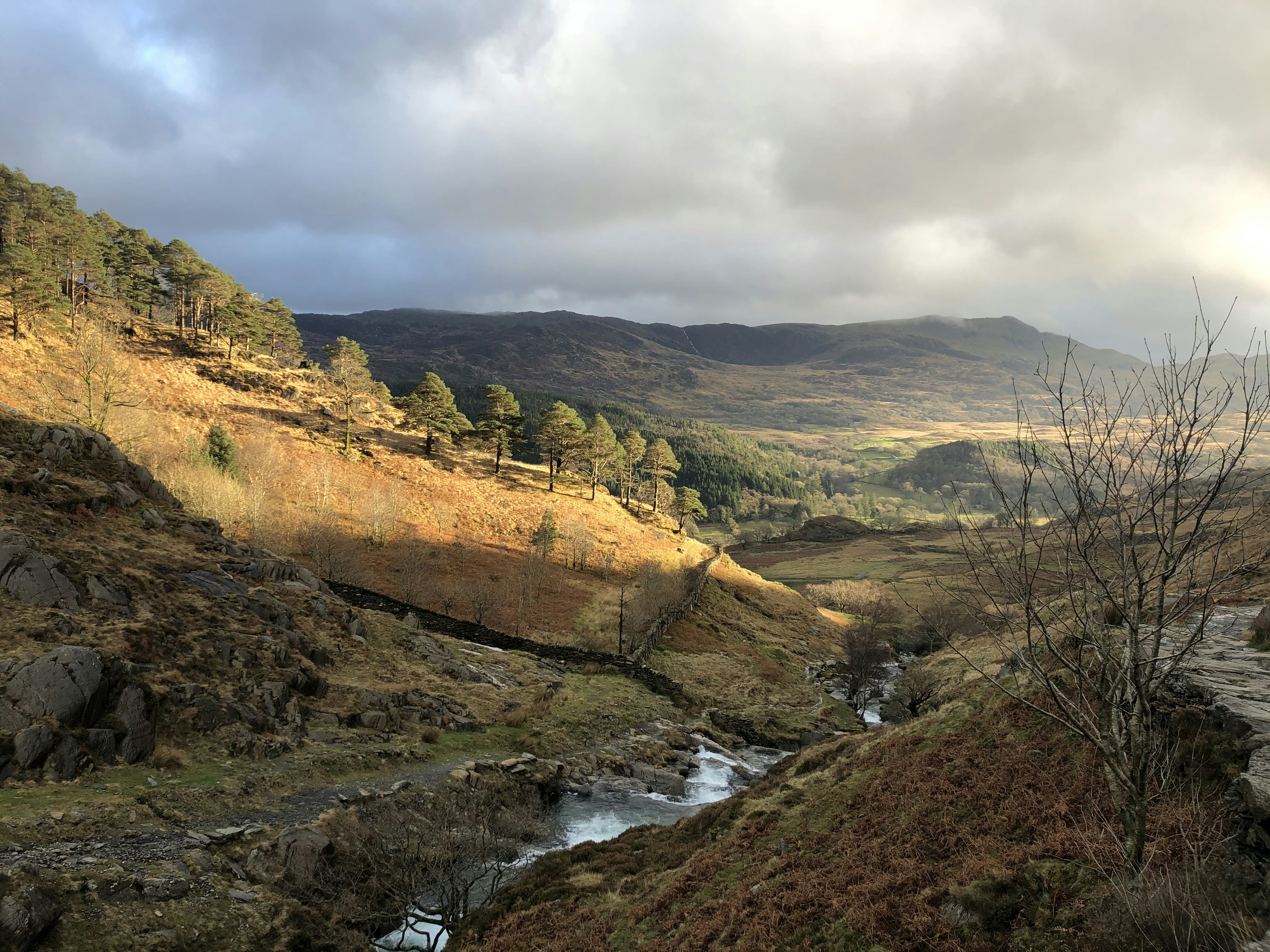 Photo by dorobantuciprianbogdan