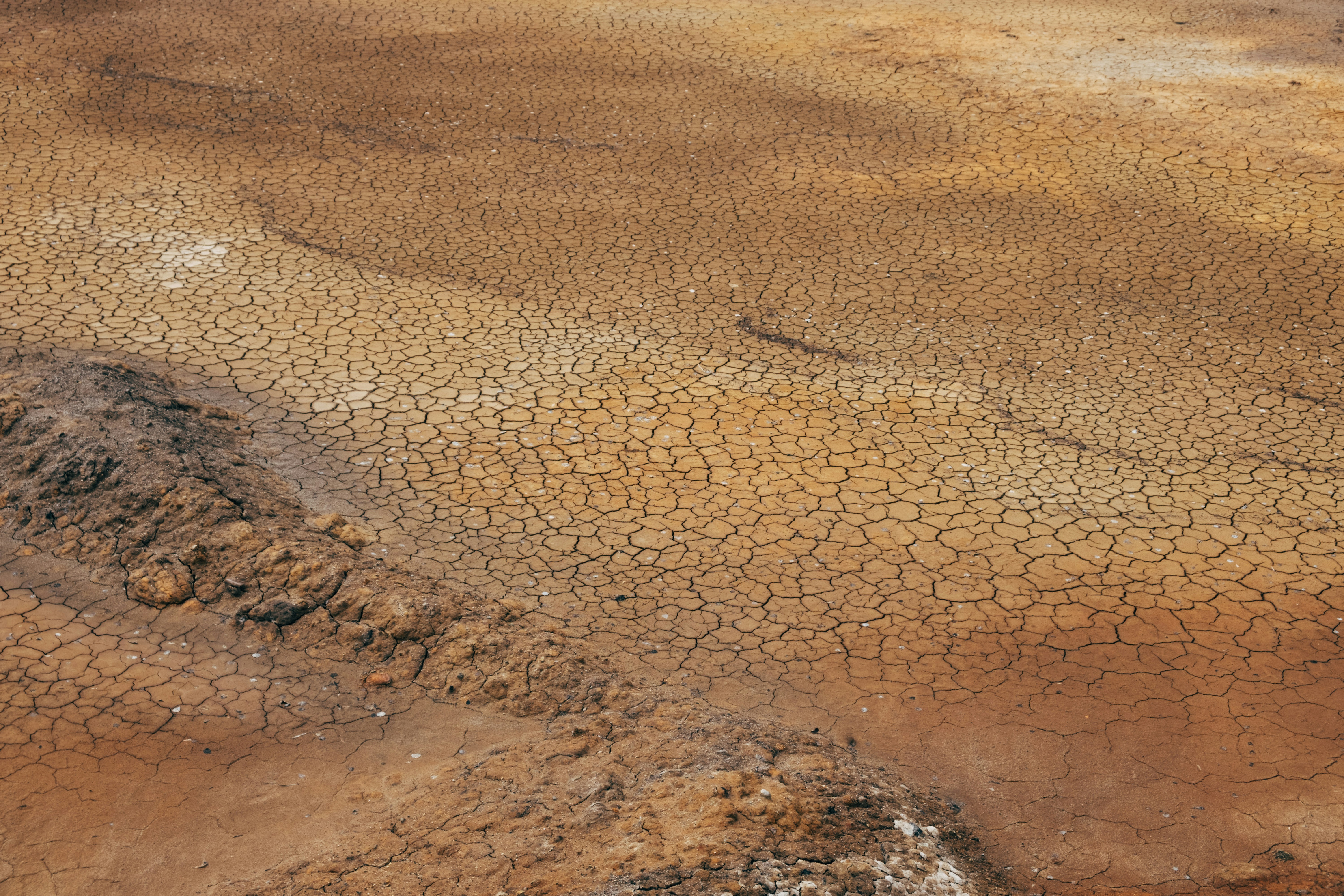 Photo by alex_akimenko