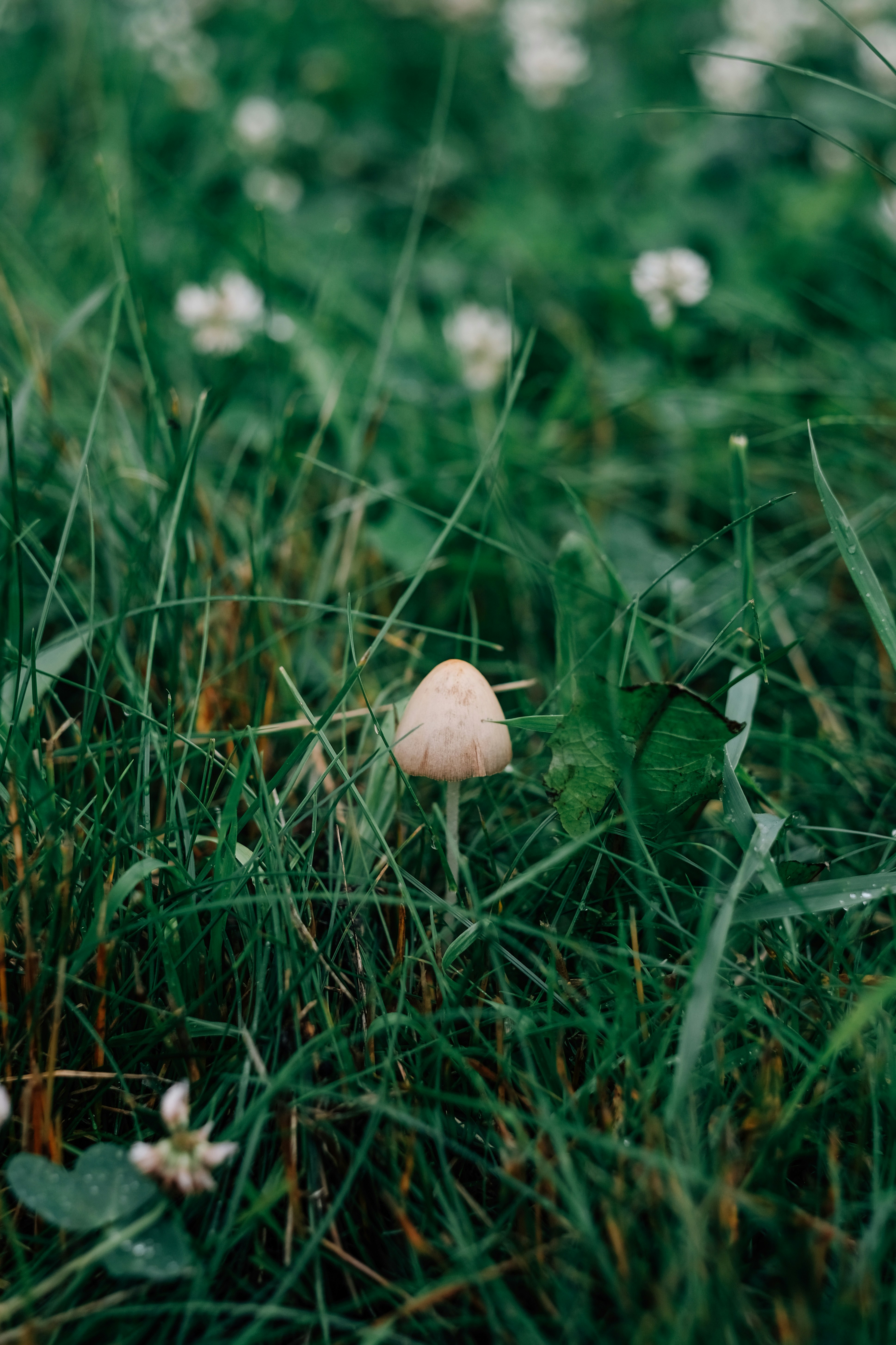 Photo by alex_akimenko