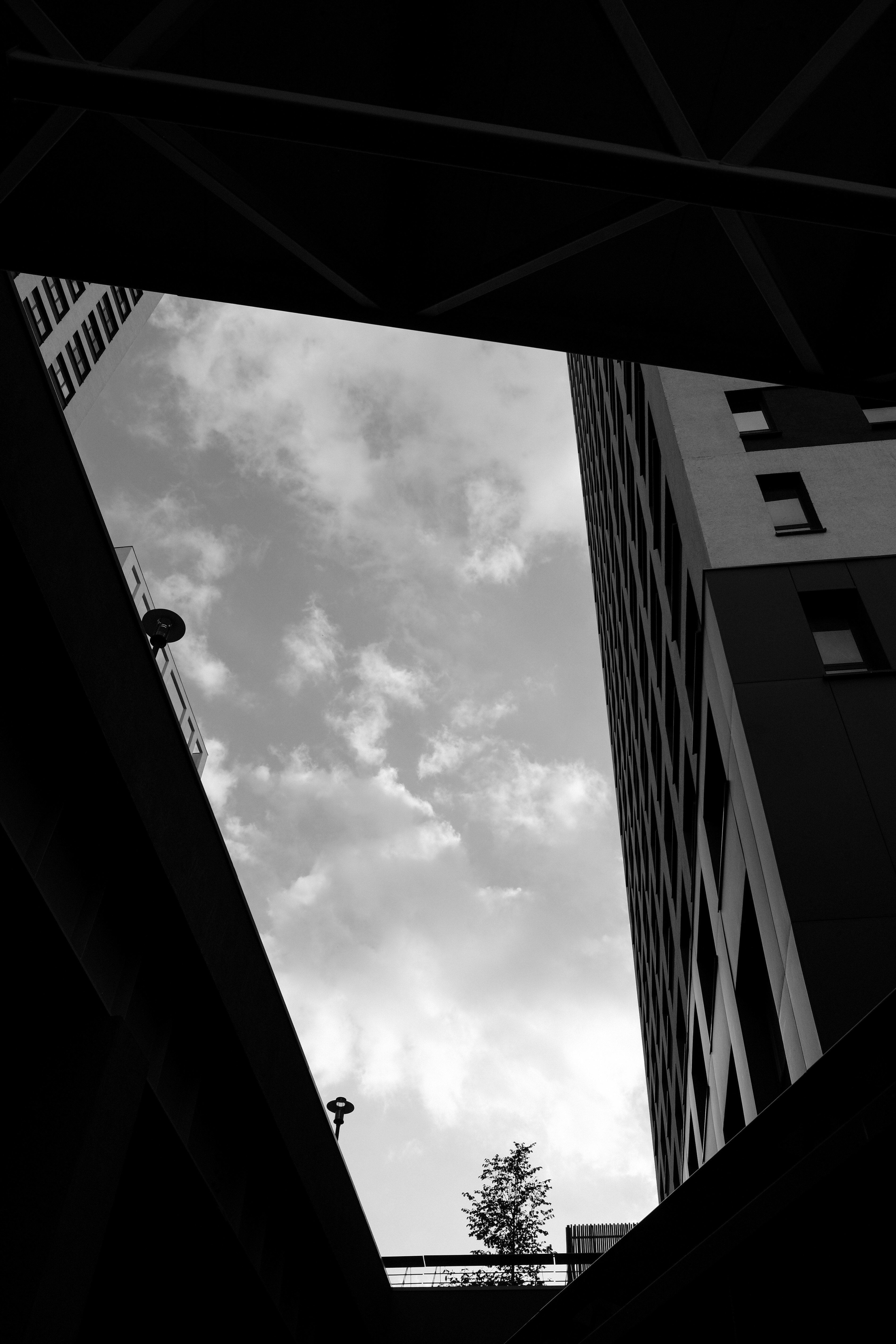 Photo by alex_akimenko