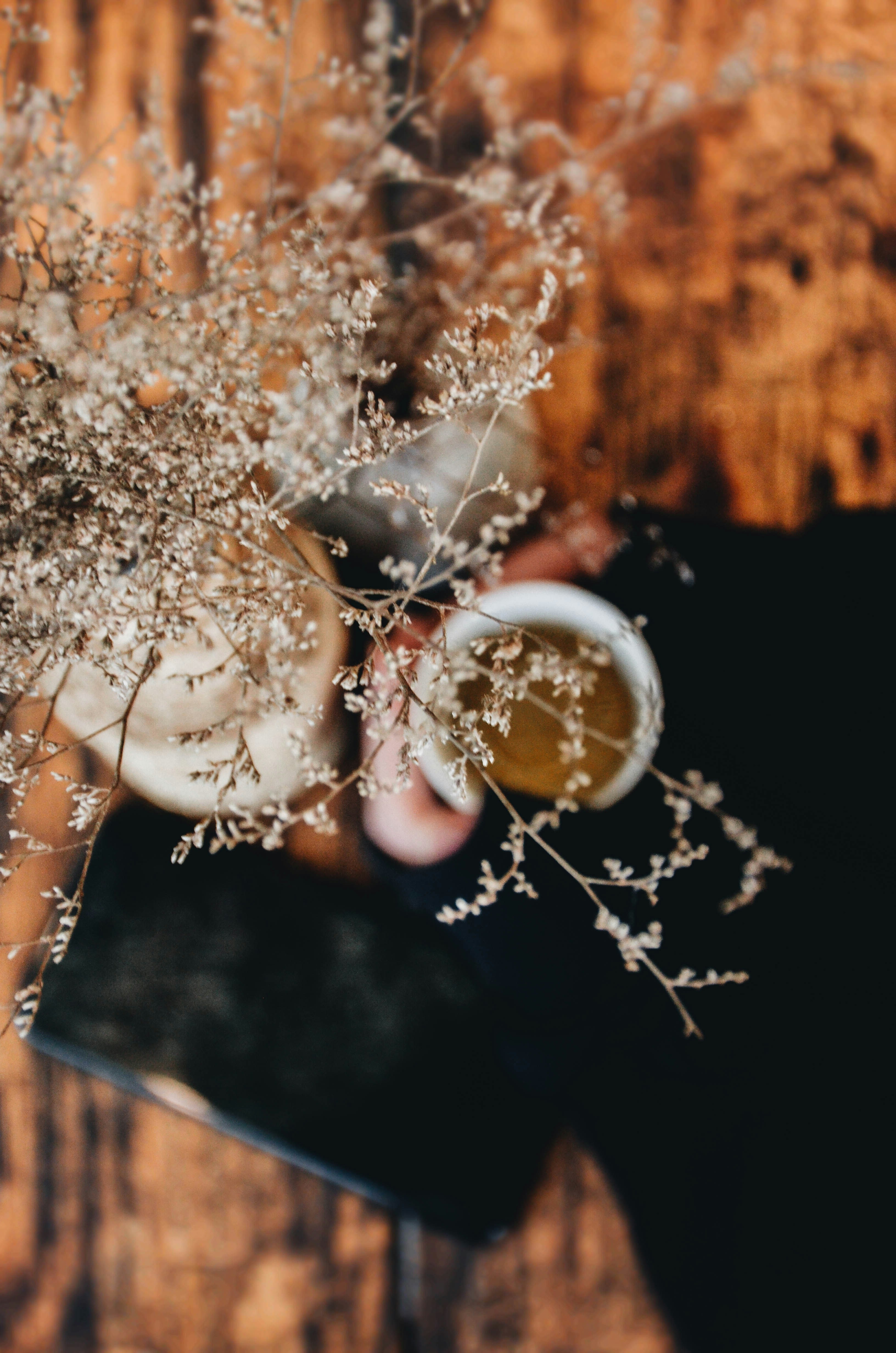 photo 1580116230728 e538df6200f0?ixid=M3w1ODkyNzF8MHwxfHNlYXJjaHw5fHxiZWVyJTIwYnJld2luZyUyMHByb2Nlc3N8ZW58MHwxfHx8MTc1NDIzNzgyM3ww&ixlib=rb 4.1