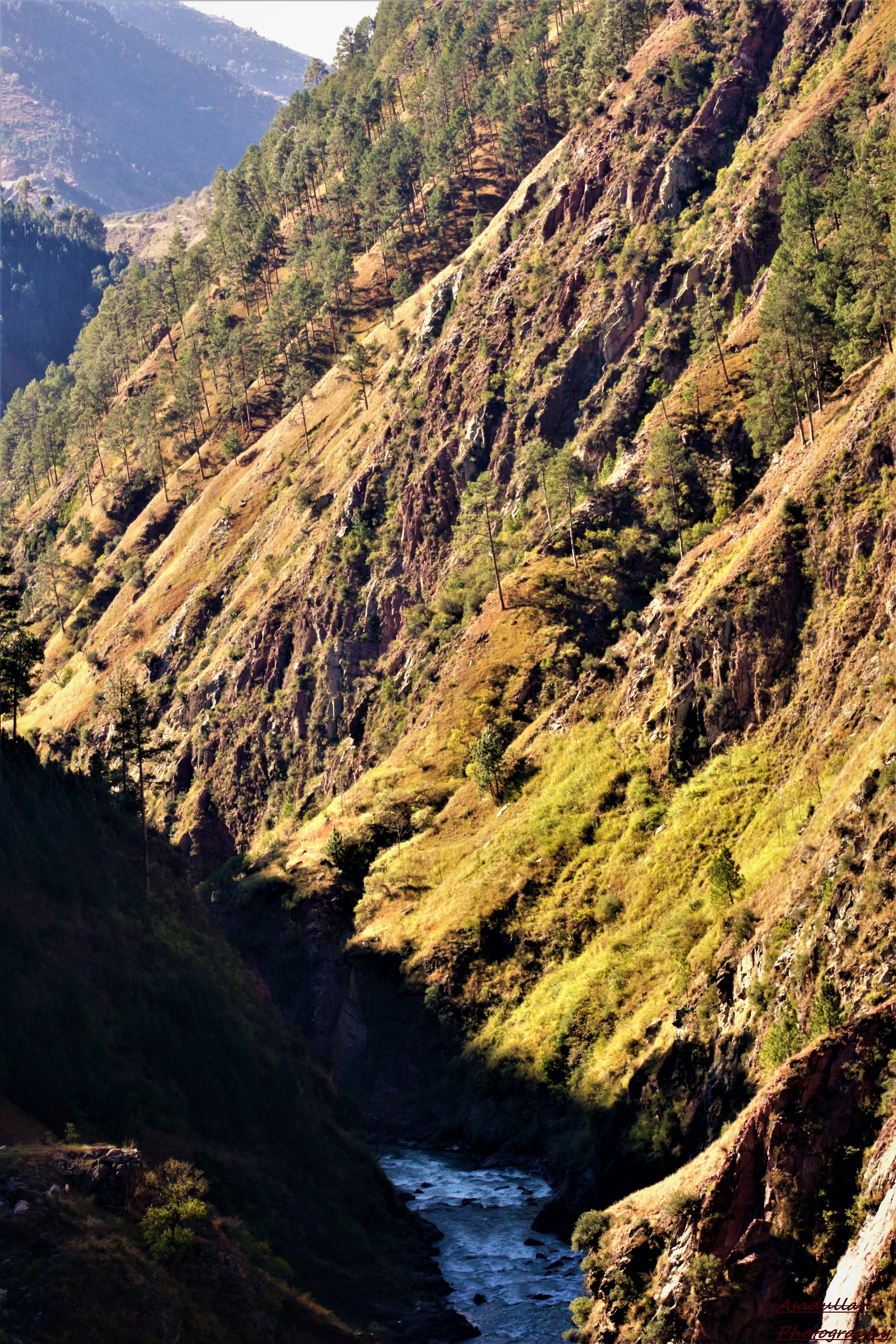 Photo by asadullahk9