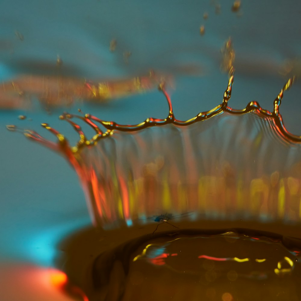 water drops on body of water