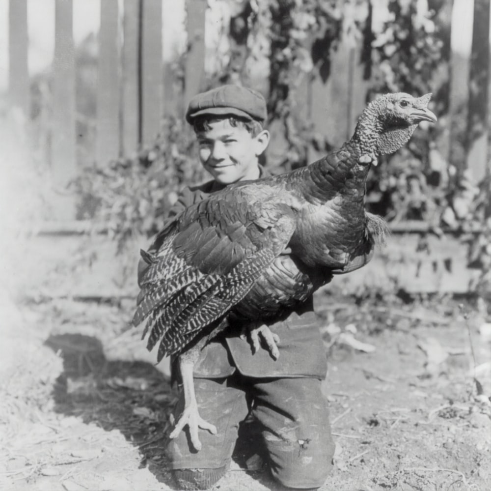 Boy holding large turkey