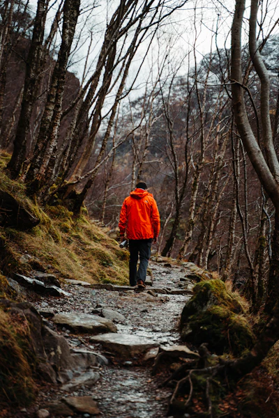 Waterproof jacket