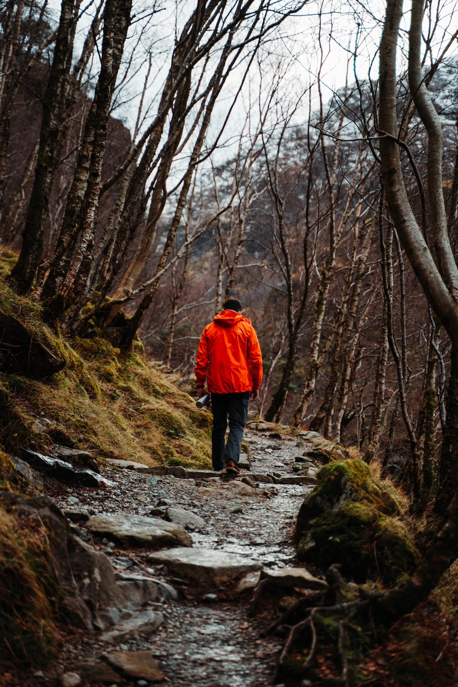 Hiker standing on a mountain ridge with scenic peaks in the background