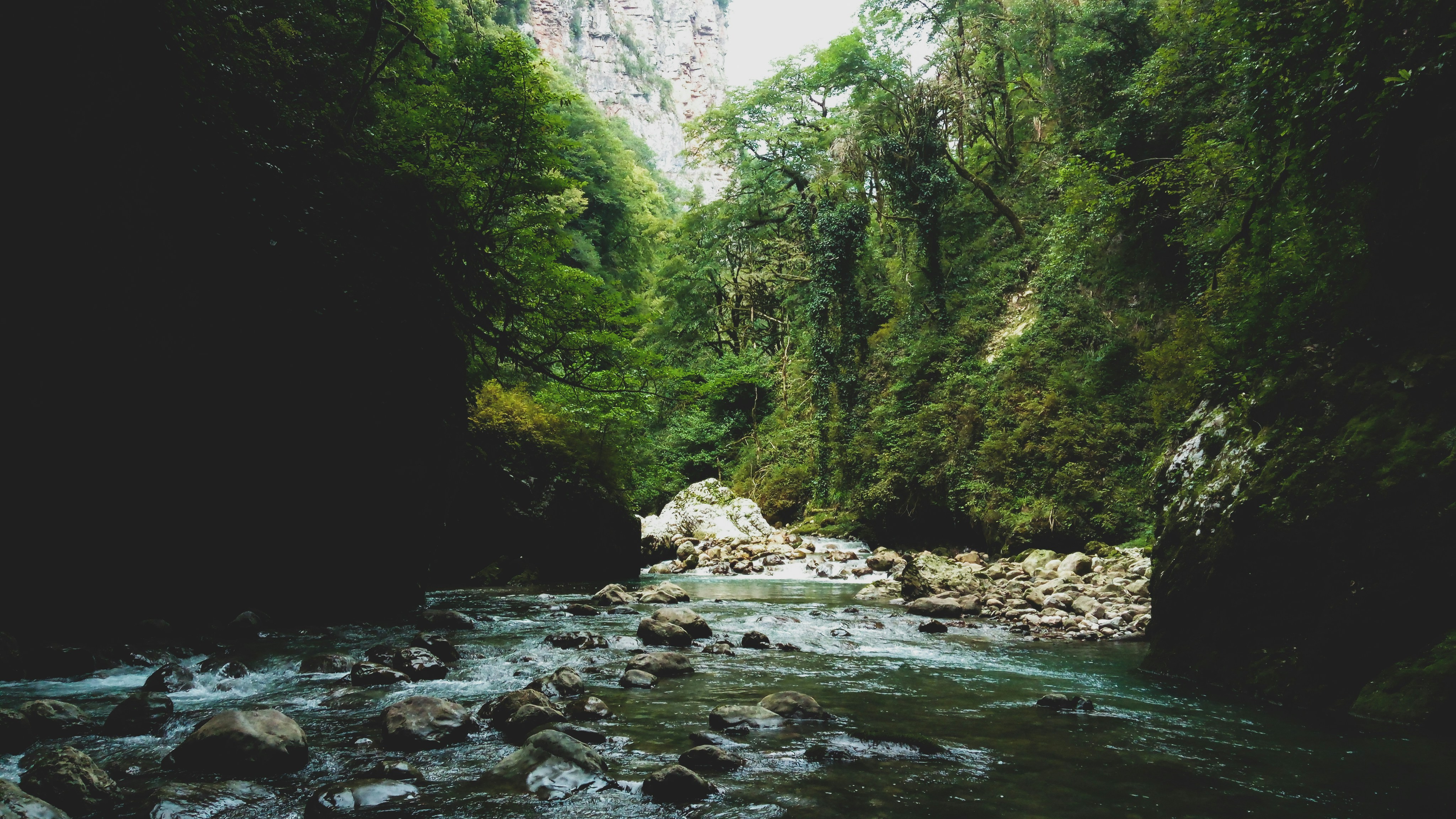 Photo by kumayuru
