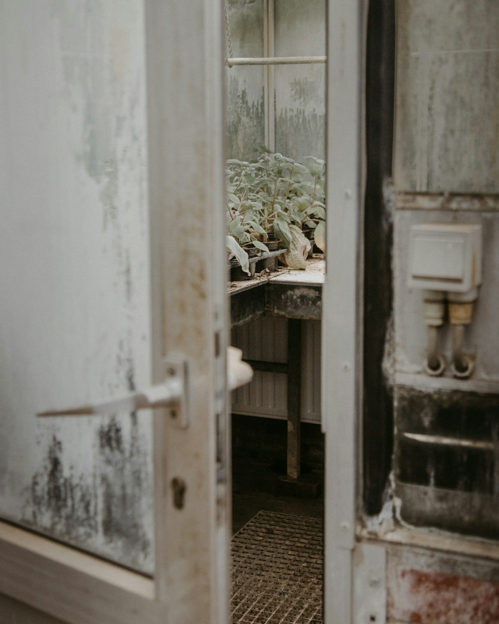 white wooden door with white door lever