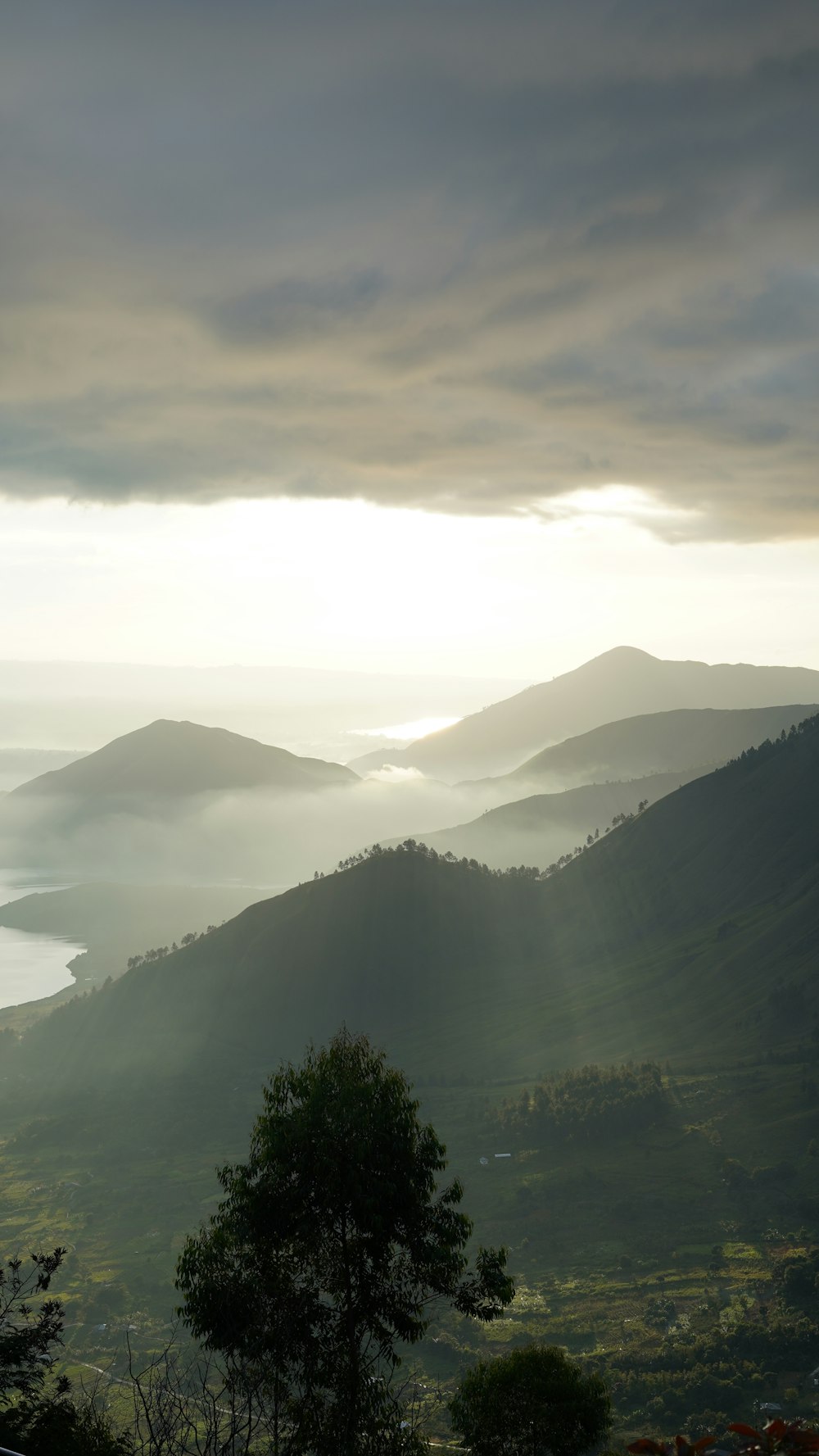 green trees on mountain during daytime