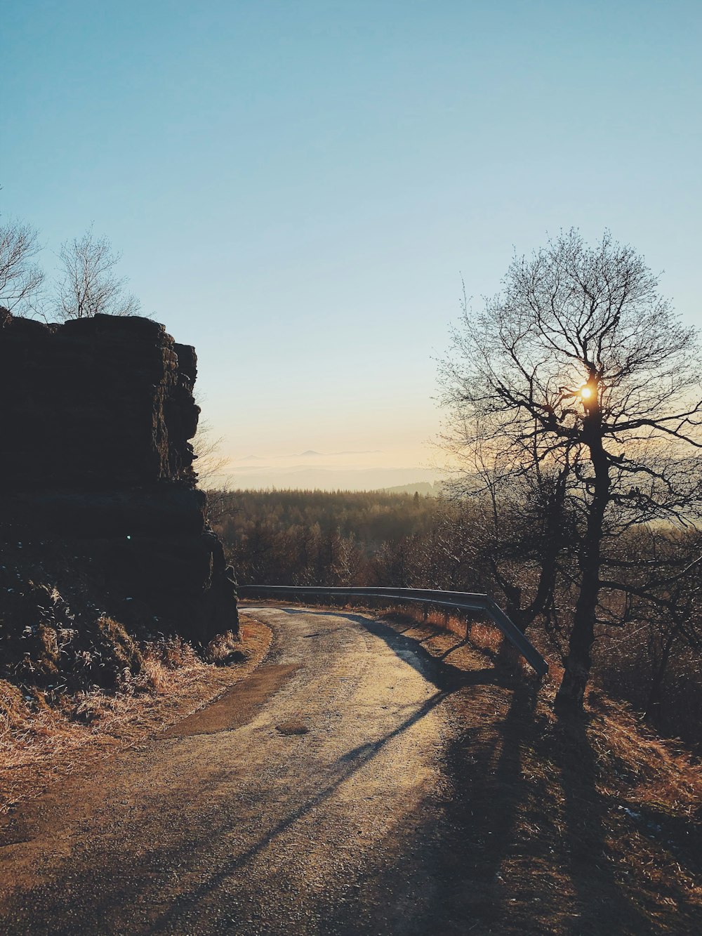 brown bare tree on brown dirt road during sunset