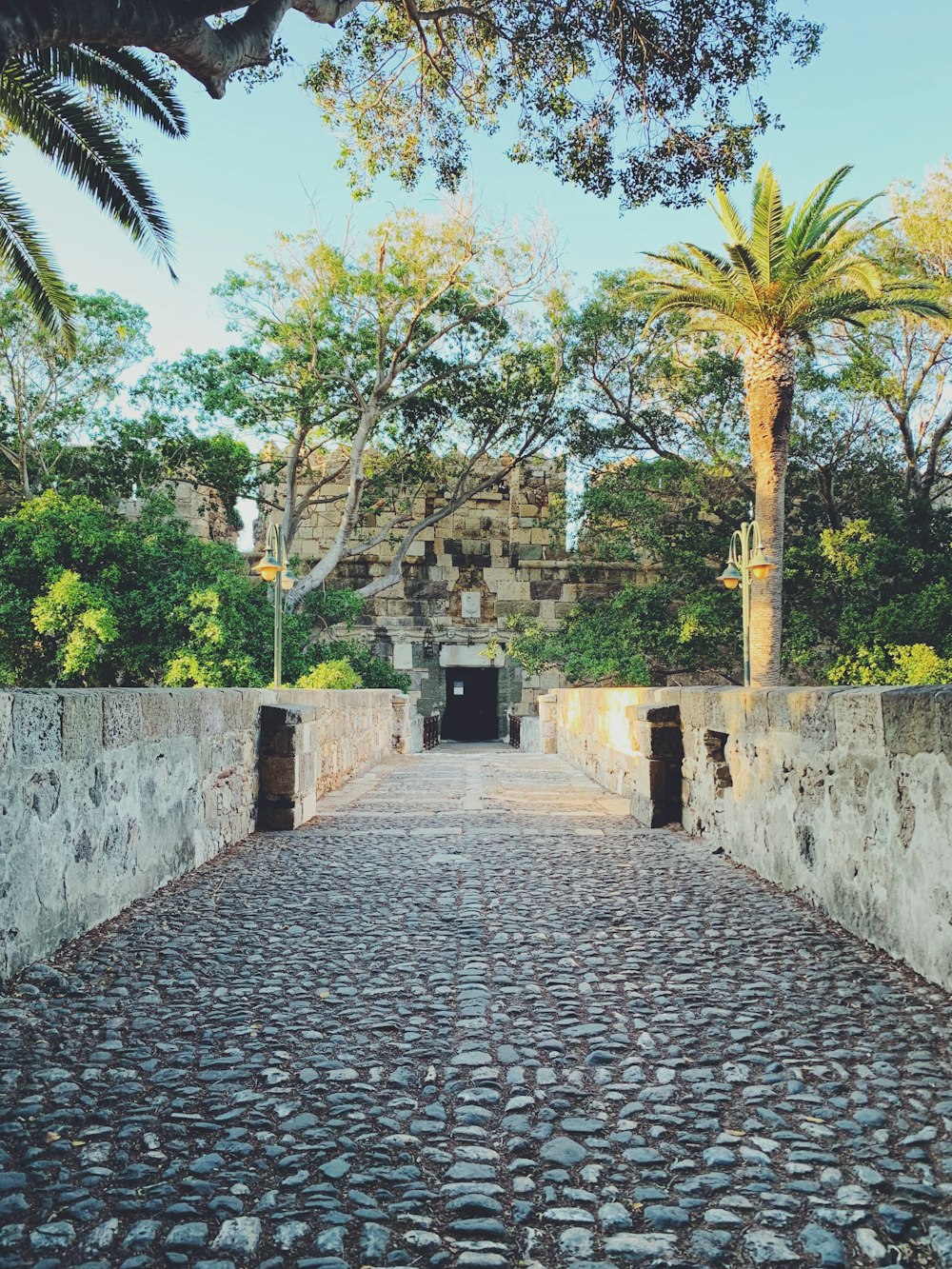 gray concrete pathway between green trees during daytime