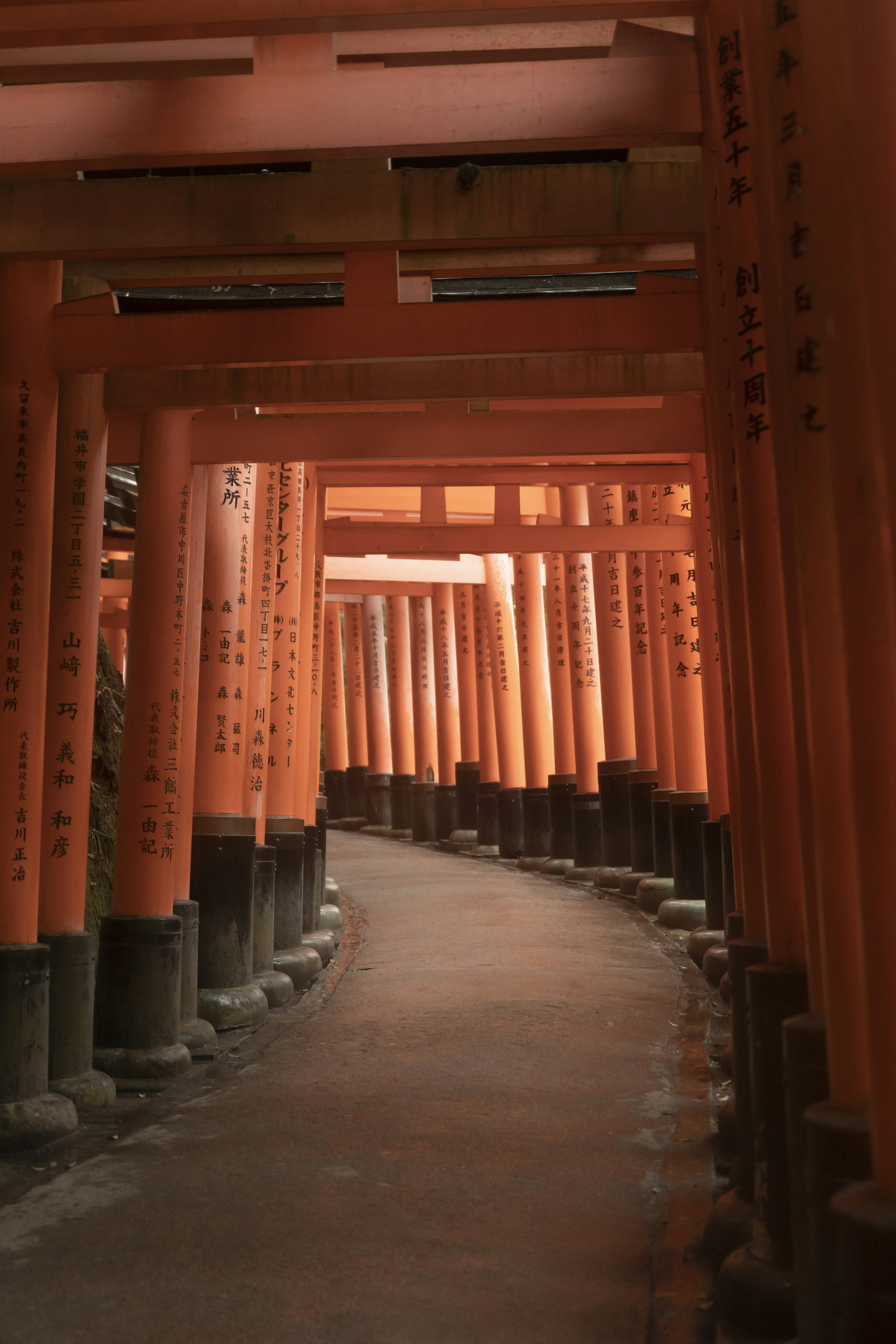 Photo by alexander_tsang