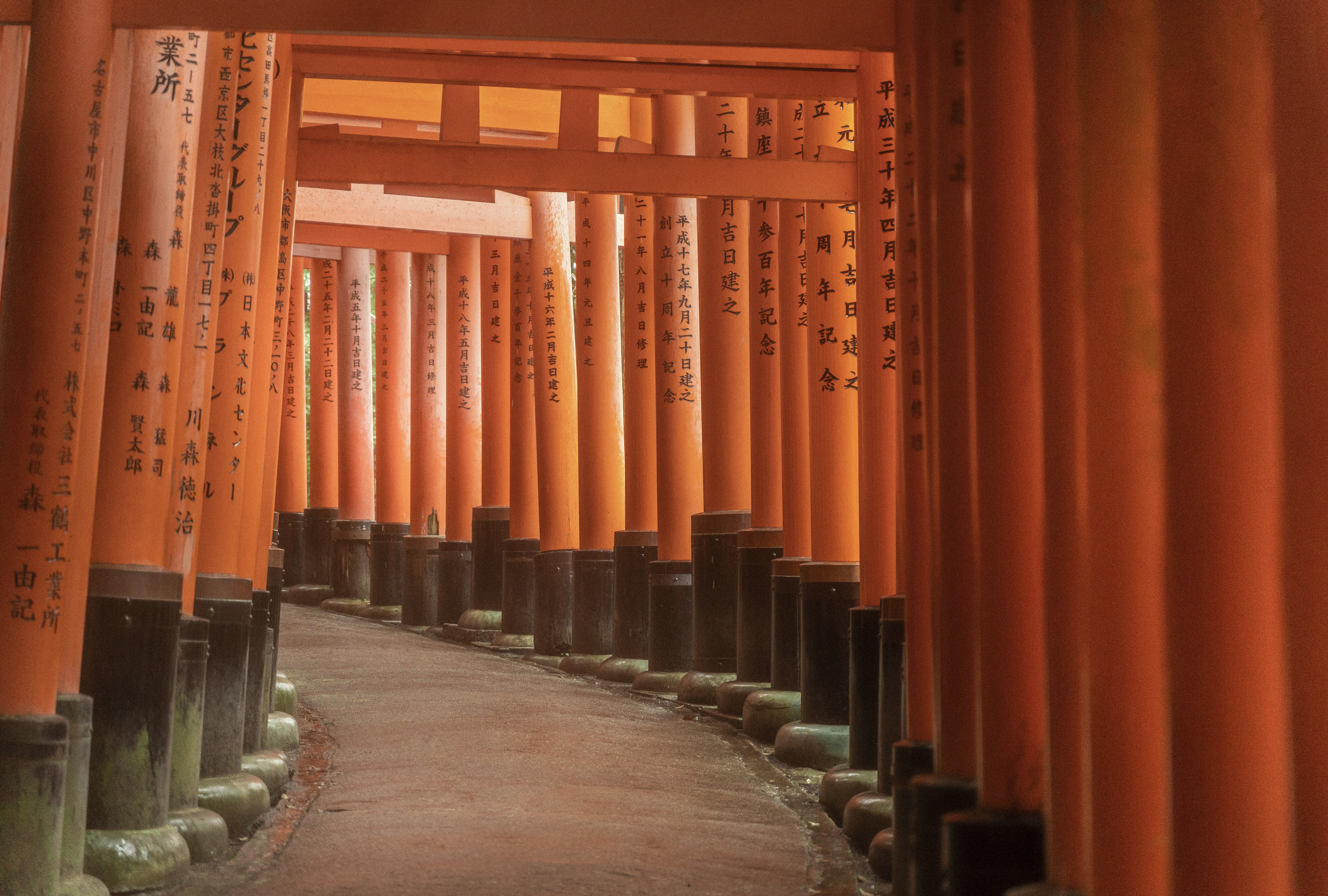 Photo by alexander_tsang